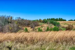 25024 Norhardt Ave, Wellington, WI 54651 - Photo 47