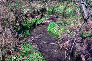 25024 Norhardt Ave, Wellington, WI 54651 - Photo 51