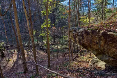 25024  Norhardt Ave, Wellington, WI 54651 - Photo 67