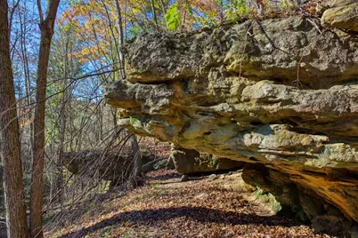 25024  Norhardt Ave, Wellington, WI 54651 - Photo 73