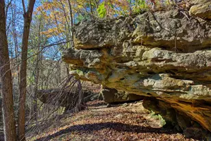 25024 Norhardt Ave, Wellington, WI 54651 - Photo 73