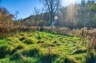 25024 Norhardt Ave, Wellington, WI 54651 - Photo 5