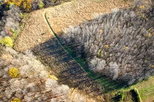 25024 Norhardt Ave, Wellington, WI 54651 - Photo 97