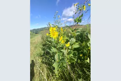 25024  Norhardt Ave, Wellington, WI 54651 - Photo 133