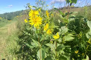 25024 Norhardt Ave, Wellington, WI 54651 - Photo 133