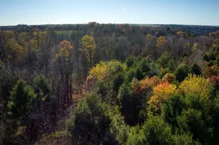 25024 Norhardt Ave, Wellington, WI 54651 - Photo 95