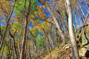 25024 Norhardt Ave, Wellington, WI 54651 - Photo 75