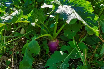 25024  Norhardt Ave, Wellington, WI 54651 - Photo 77