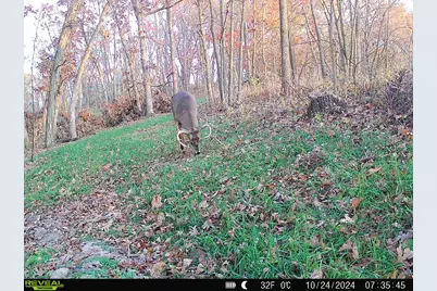 0  Turben Ridge Rd, Clayton, WI 54655 - Photo 19