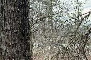 Lt3 Boat Landing 11 Rd, Silver Cliff, WI 54104 - Photo 1