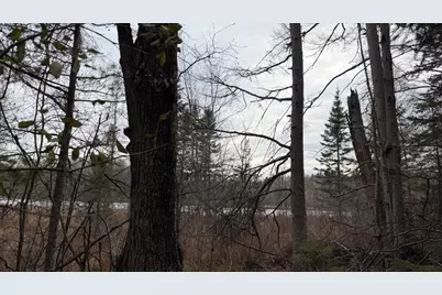 Lt3  Boat Landing 11 Rd, Silver Cliff, WI 54104 - Photo 15