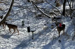 636 Pewaukee Rd, Pewaukee, WI 53072 - Photo 27