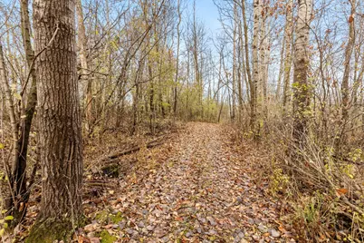 N52W24270  Lisbon Rd, Sussex, WI 53089 - Photo 25