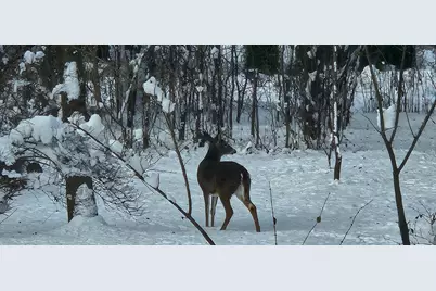 6183 N 118th St, Milwaukee, WI 53225 - Photo 51