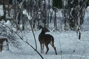 6183 N 118th St, Milwaukee, WI 53225 - Photo 51