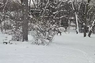 6183 N 118th St, Milwaukee, WI 53225 - Photo 61