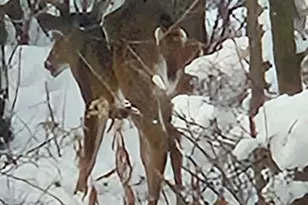 6183 N 118th St, Milwaukee, WI 53225 - Photo 49