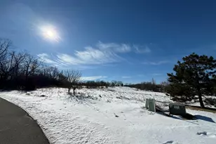 Lt30 Moelter Dr, Lyons, WI 53147 - Photo 1