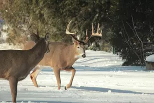 902 Lake Dr, South Milwaukee, WI 53172 - Photo 47