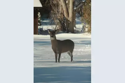 902  Lake Dr, South Milwaukee, WI 53172 - Photo 45