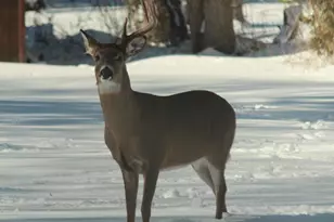 902 Lake Dr, South Milwaukee, WI 53172 - Photo 45