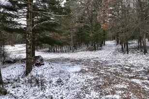 1565 State Hwy 71 -, Little Falls, WI 54656 - Photo 47