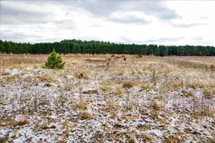 1565 State Hwy 71 -, Little Falls, WI 54656 - Photo 33