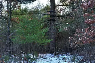 1565 State Hwy 71 -, Little Falls, WI 54656 - Photo 49