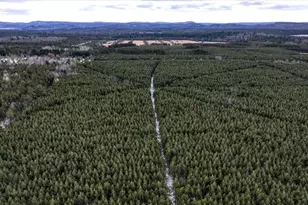 1565 State Hwy 71 -, Little Falls, WI 54656 - Photo 51