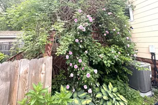 1008 71st St, Kenosha, WI 53143 - Photo 23