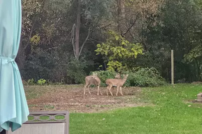 517  Fox Knoll Dr, Racine, WI 53185 - Photo 41