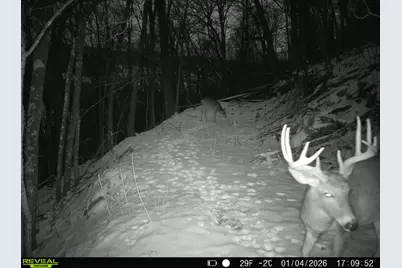 14096  Turben Ridge Rd, Clayton, WI 54655 - Photo 31