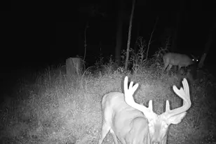 14096 Turben Ridge Rd, Clayton, WI 54655 - Photo 47