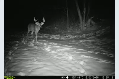 14096  Turben Ridge Rd, Clayton, WI 54655 - Photo 57