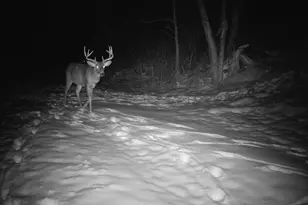 14096 Turben Ridge Rd, Clayton, WI 54655 - Photo 57