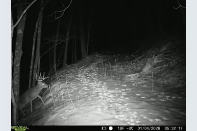 14096  Turben Ridge Rd, Clayton, WI 54655 - Photo 61