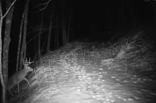 14096 Turben Ridge Rd, Clayton, WI 54655 - Photo 61