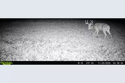 14096  Turben Ridge Rd, Clayton, WI 54655 - Photo 41