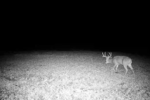 14096 Turben Ridge Rd, Clayton, WI 54655 - Photo 41