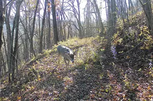 14096 Turben Ridge Rd, Clayton, WI 54655 - Photo 55