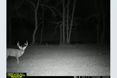 14096  Turben Ridge Rd, Clayton, WI 54655 - Photo 63