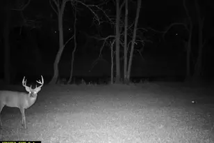 14096 Turben Ridge Rd, Clayton, WI 54655 - Photo 63