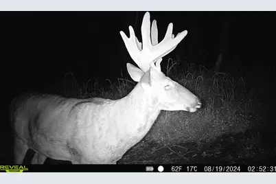 14096  Turben Ridge Rd, Clayton, WI 54655 - Photo 29