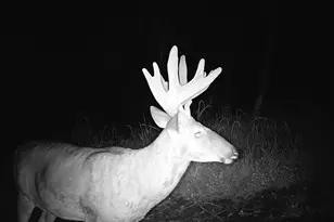 14096 Turben Ridge Rd, Clayton, WI 54655 - Photo 29