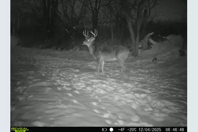 14096  Turben Ridge Rd, Clayton, WI 54655 - Photo 43