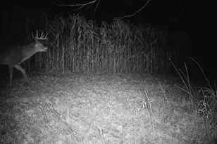 14096 Turben Ridge Rd, Clayton, WI 54655 - Photo 51