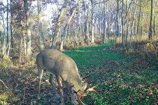 14096 Turben Ridge Rd, Clayton, WI 54655 - Photo 45