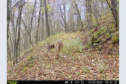 14096  Turben Ridge Rd, Clayton, WI 54655 - Photo 35