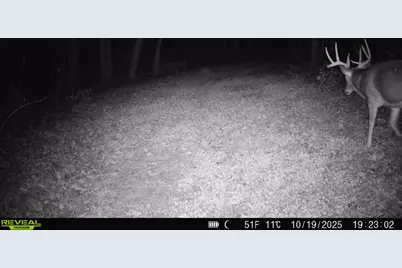 14096  Turben Ridge Rd, Clayton, WI 54655 - Photo 31