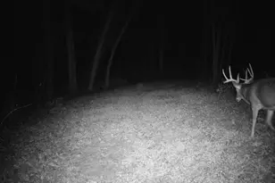 14096 Turben Ridge Rd, Clayton, WI 54655 - Photo 31